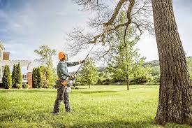 How Our Tree Care Process Works  in  Iuka, MS